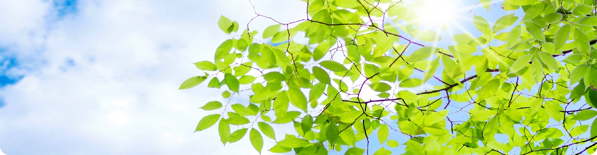 神戸市中央区の神戸駅前もりのメンタルクリニック
